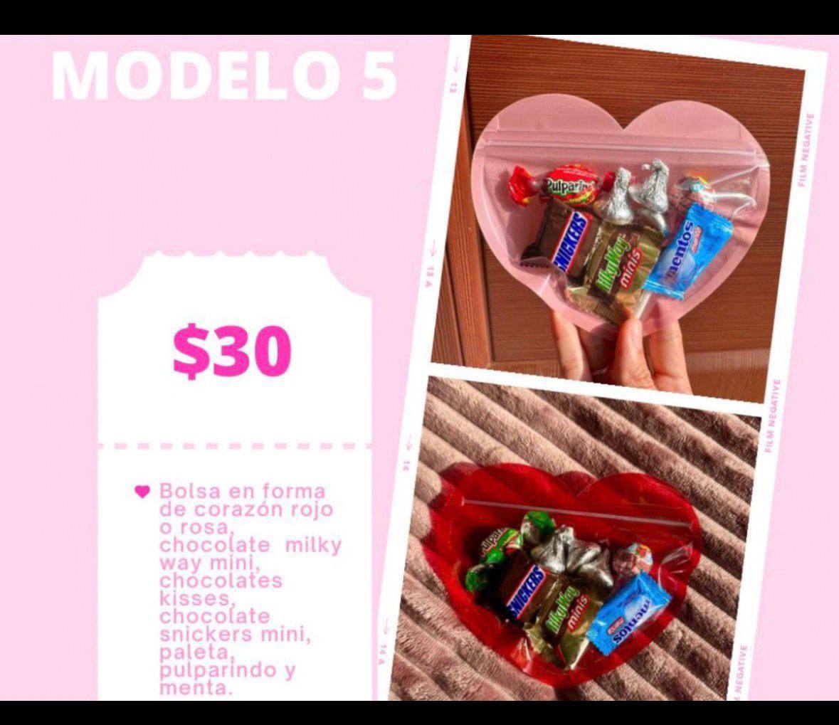 Modelo 5
