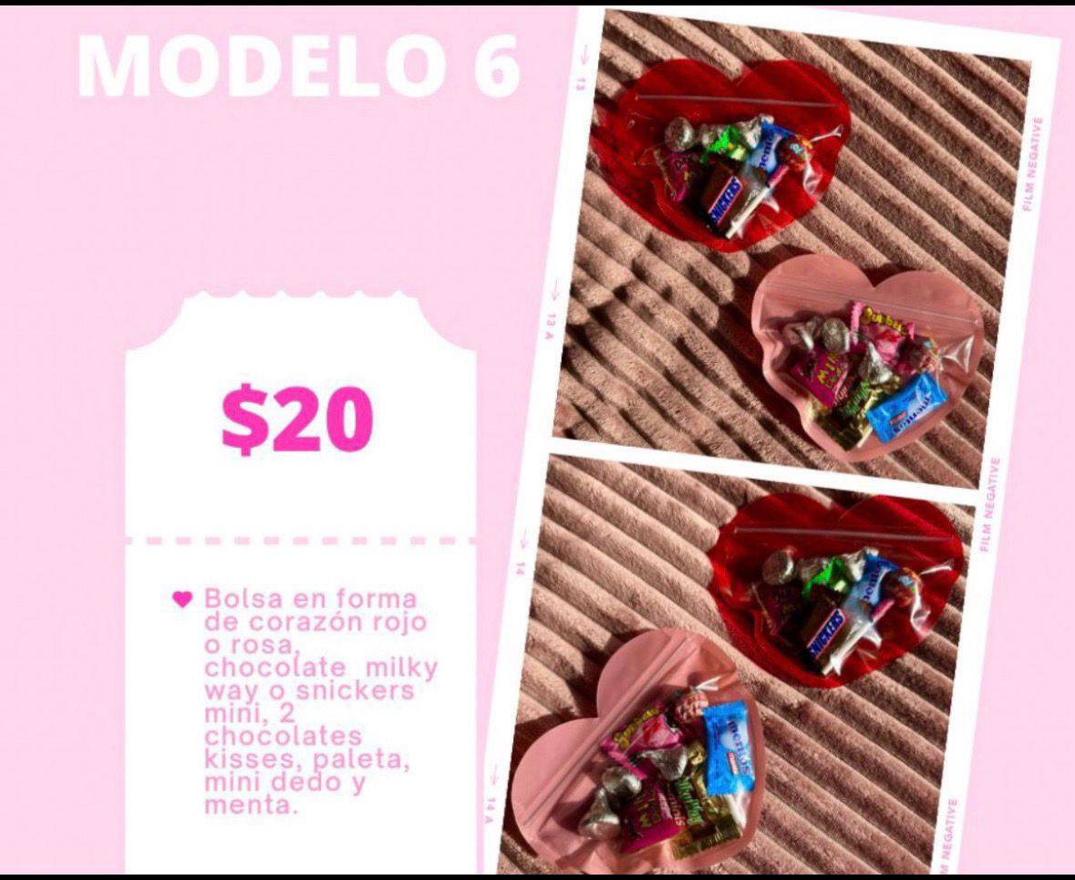 Modelo 6